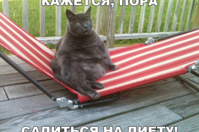 Пора садиться на диету