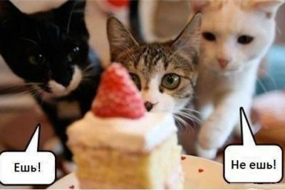 Выбор есть всегда