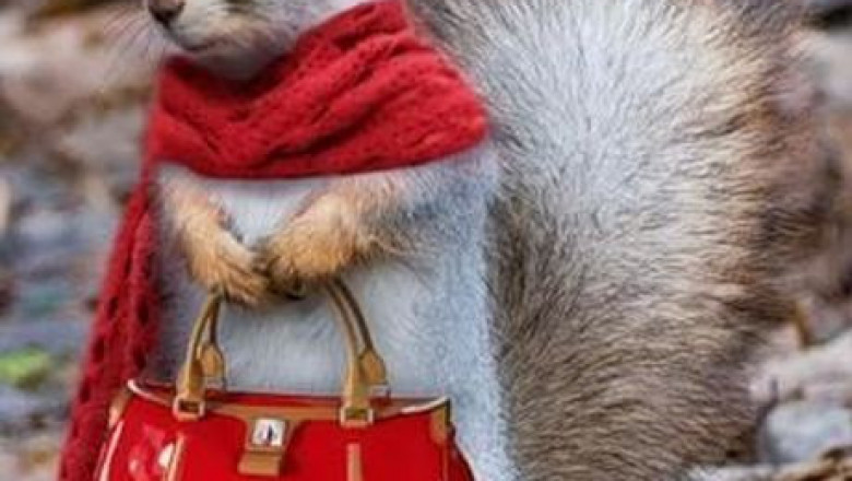 Мысли вслух от животных 