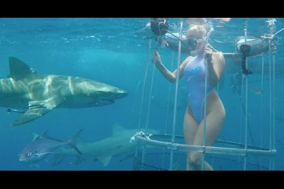 Порнозвезду Молли Кавалли во время съемок укусила акула