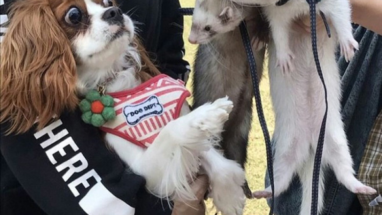 Предвыходного настроения !