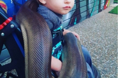 Малыш и змеи 