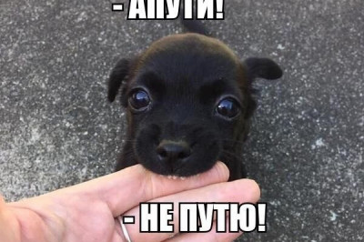 Забавные фотомены для настроения 