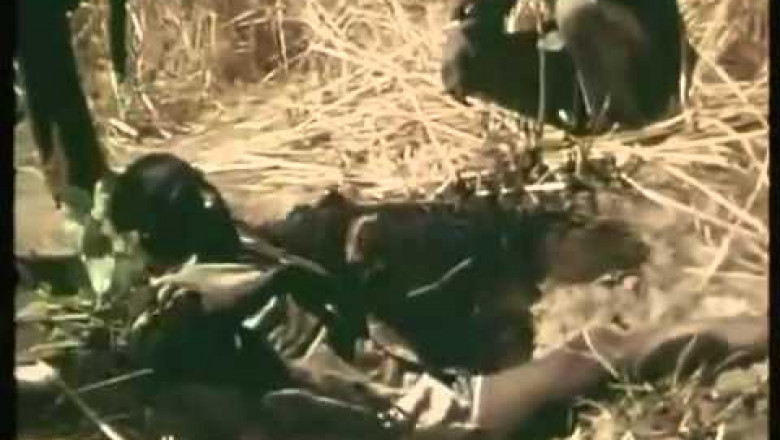 Ловля питона на ногу 