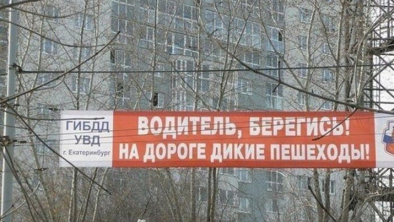 На дороге дикие пешеходы 