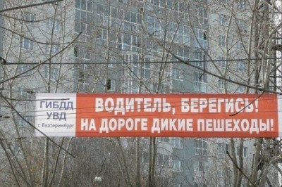 На дороге дикие пешеходы 