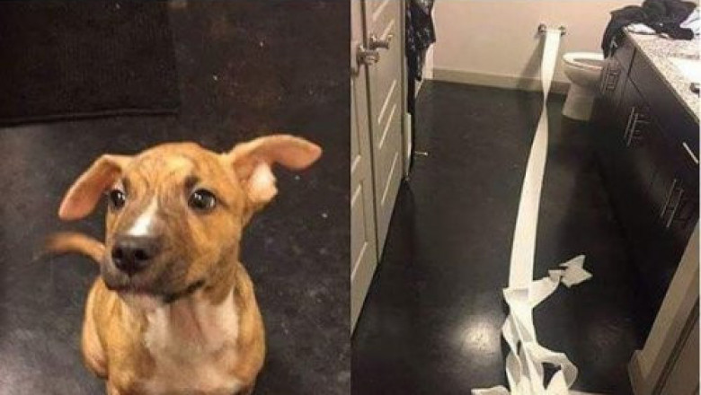 Смешные надписи на фотках