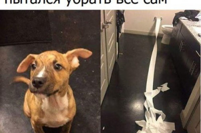 Смешные надписи на фотках