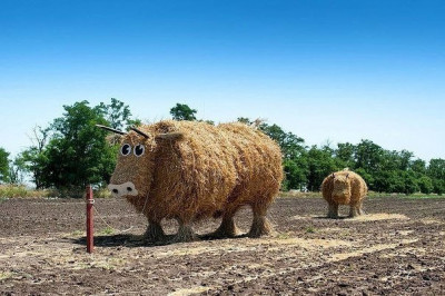 В деревне собрали сено