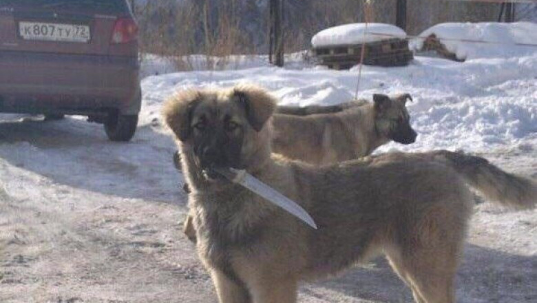 Зашли в опасный район