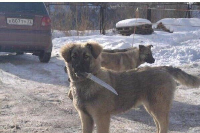 Зашли в опасный район