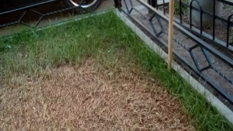 Куда не посмотришь - кругом запреты 