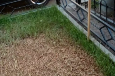 Куда не посмотришь - кругом запреты 