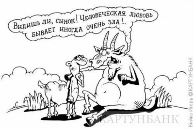 В ожидании идеального любимого