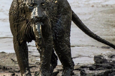 Вот такие мы разные !