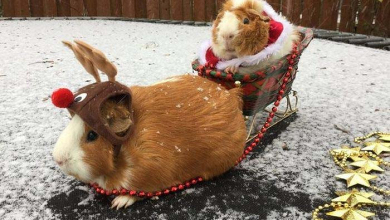 Настроение в картинках 