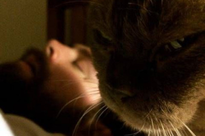 Разбудить или пускай спит дальше