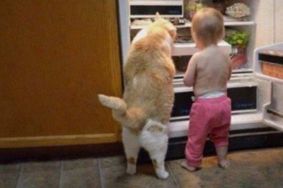 Эмоциональные фотографии животных 