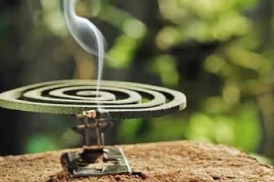 С профессиональной точки зрения…  