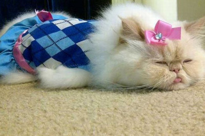 Вот это лоханулся…