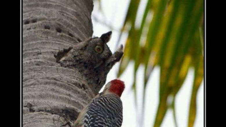 Позитивные демотиваторы 