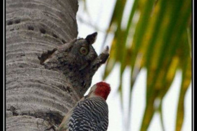 Позитивные демотиваторы 