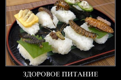 Здоровое питание