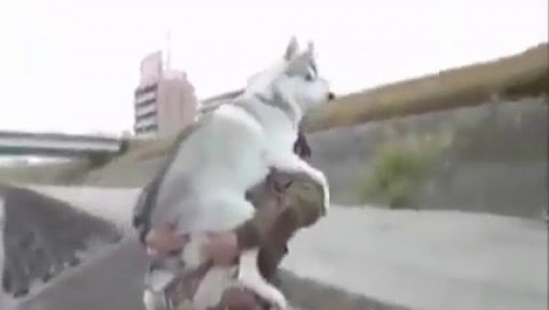 Возьми меня на ручки !