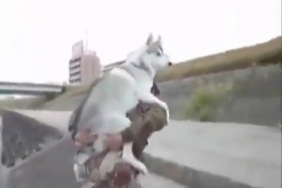 Возьми меня на ручки !