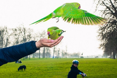 Яркий мир в фотоработах  Уилла Сандерс 