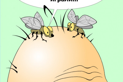 Если вас не напрягает лысина, значит она чужая