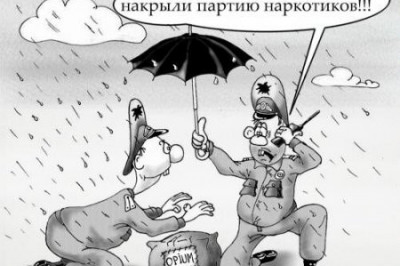 Кукушка с глупым вопросом