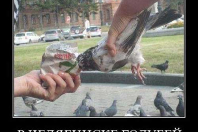 Если надо что-то сделать — зовите китайцев