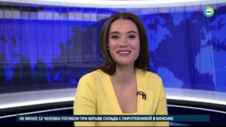 Собака в прямом эфире 