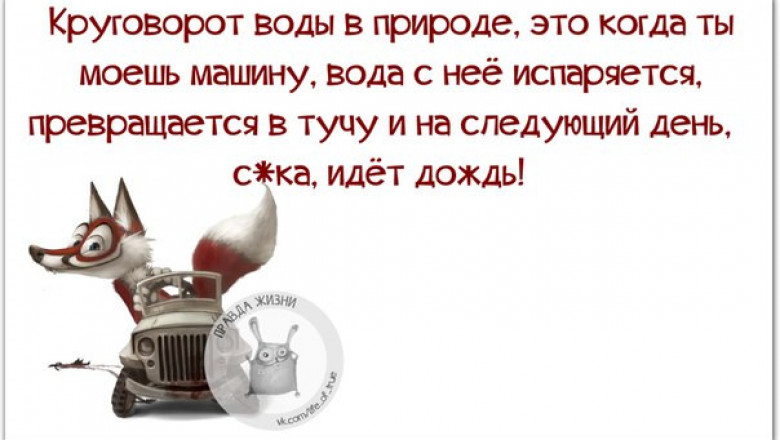 Улыбнись жизни и жизнь улыбнётся тебе !