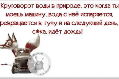 Улыбнись жизни и жизнь улыбнётся тебе !