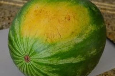 Арбуз, в котором никого нет