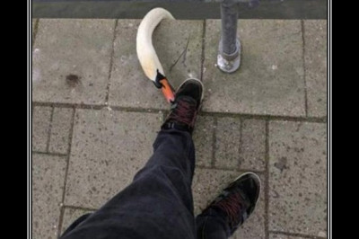 Когда ты голоден