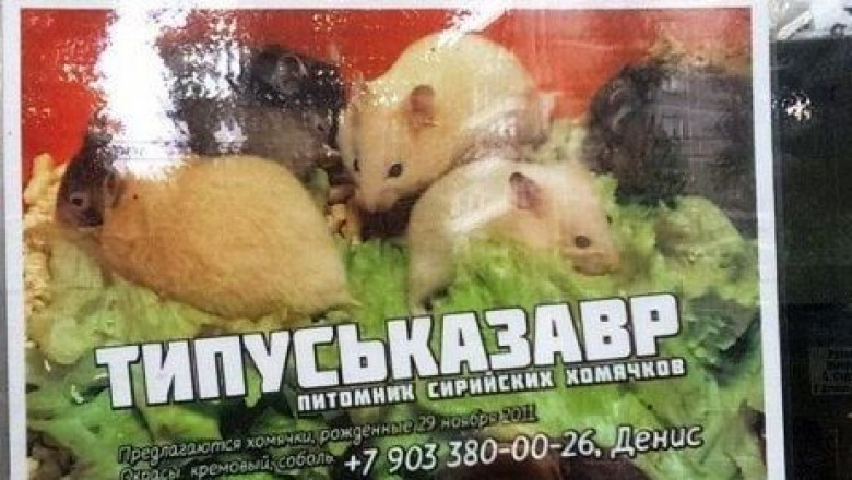 Убойная реклама и объявления 