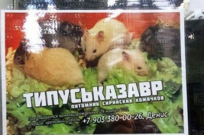 Убойная реклама и объявления 