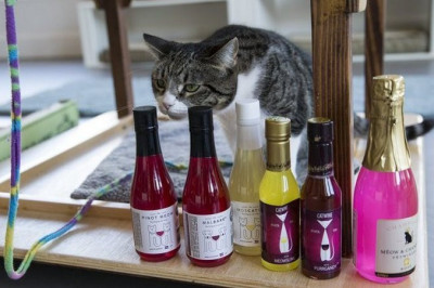 Алкогольные напитки для животных 