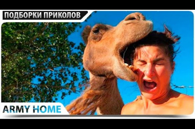 Убойный , не придуманный юмор