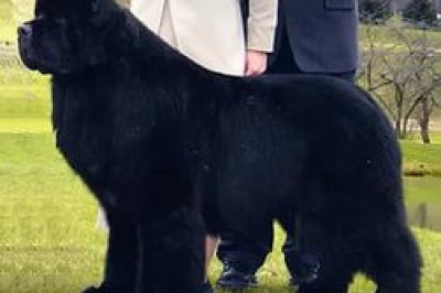 Мама такого себе не позволит