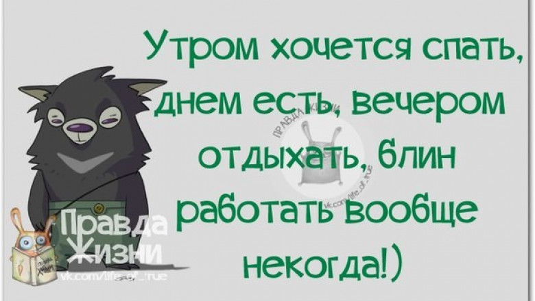 Меткие фразочки 