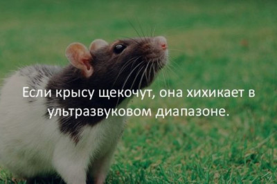 Для любознательных ...