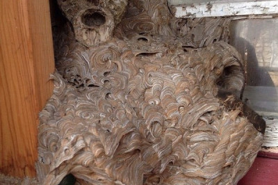 Интригующие фотографии 