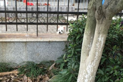 Когда уличное знакомство пошло не по плану