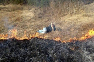 Они достойны премии Дарвина