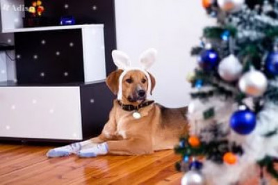 Комплимент должен быть уместным