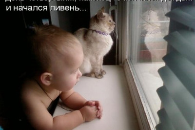 Свеженькая котоматрица 